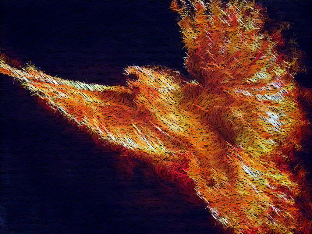 26k Phoenix Bird Picture